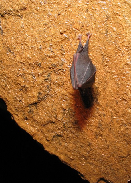 img00001.jpg