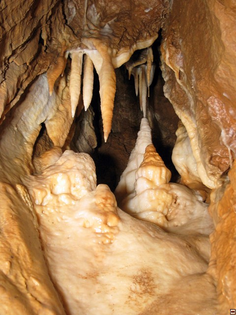 img00002.jpg