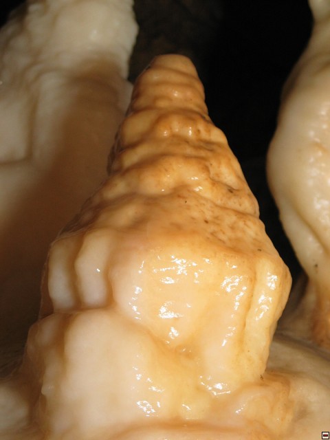 img00004.jpg