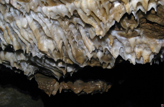 img00007.jpg