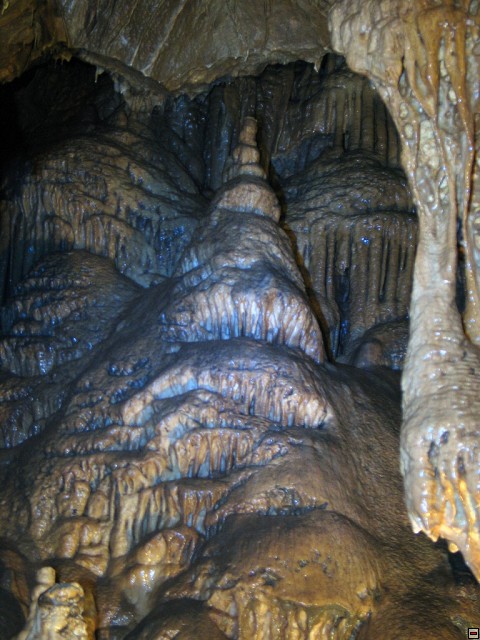 img00027.jpg