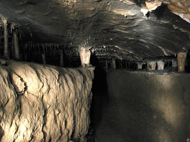 img00004.jpg