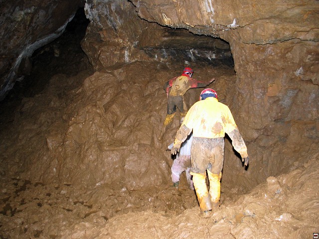img00019.jpg