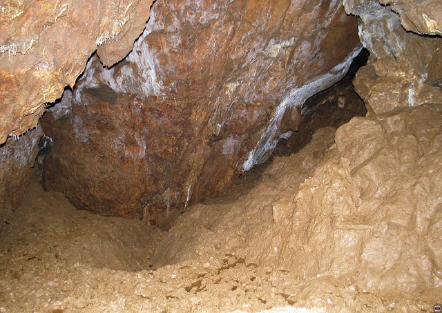 img00020.jpg
