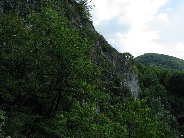 img00006.jpg