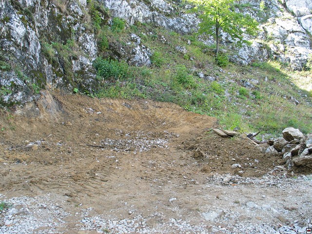 img00007.jpg