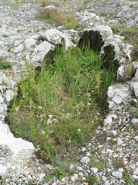 img00019.jpg