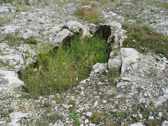 img00020.jpg