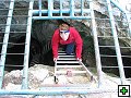 thn00010.jpg