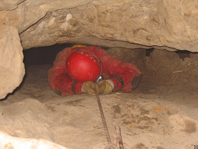 img00005.jpg