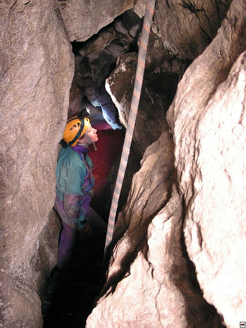 img00013.jpg