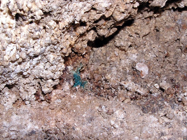 img00024.jpg