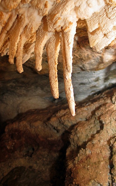 img00037.jpg