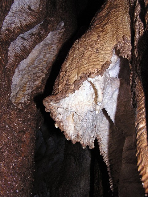 img00041.jpg