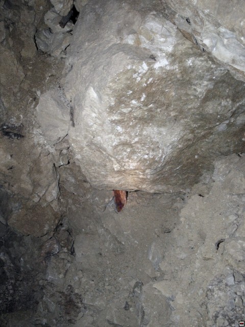 img00013.jpg