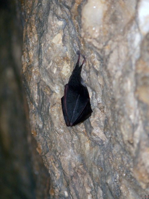img00022.jpg